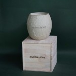 Fresh Lemongrass Soy Scented 1500g Ceramic Vessel Candle